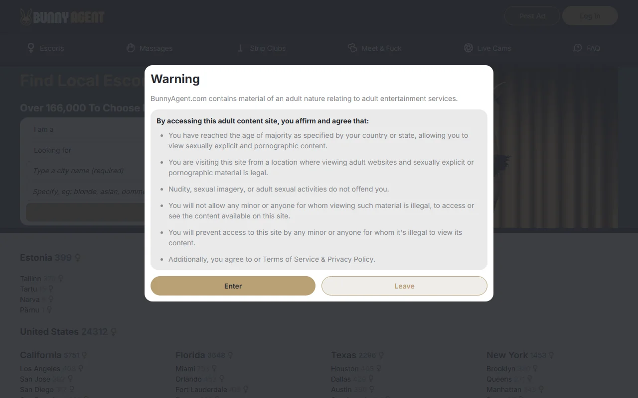 Screenshot: Bunnyagent Screenshot of Bunnyagent